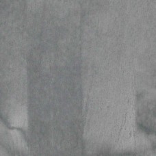 Береза Grey