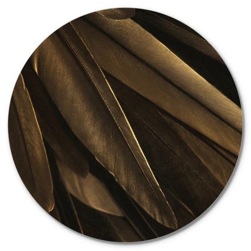 Интерьерный постер GOLD WING 